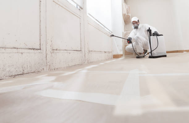 24/7 Emergency Attic Mold Remediation experts in Waverly, VA