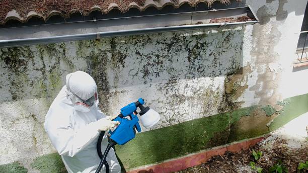Top rated local Attic Mold Remediation specialists in Waverly, VA